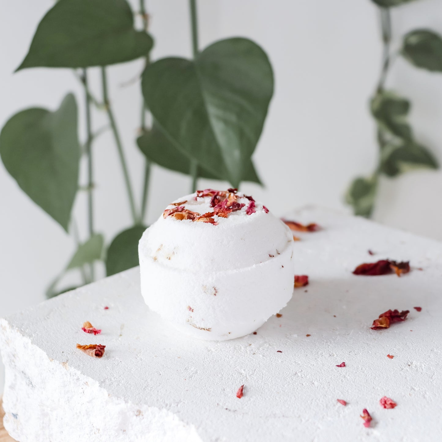 Self Love Shower Steamers