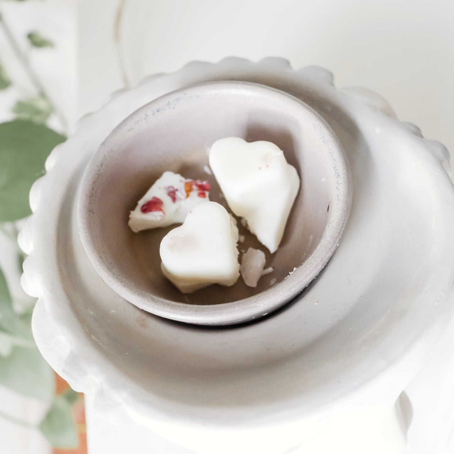 Self Love Wax Melts