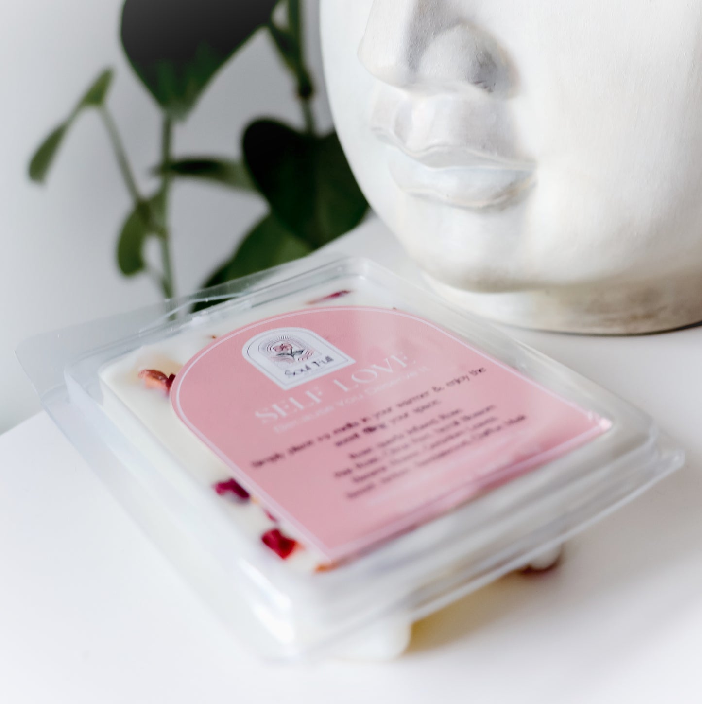 Self Love Wax Melts