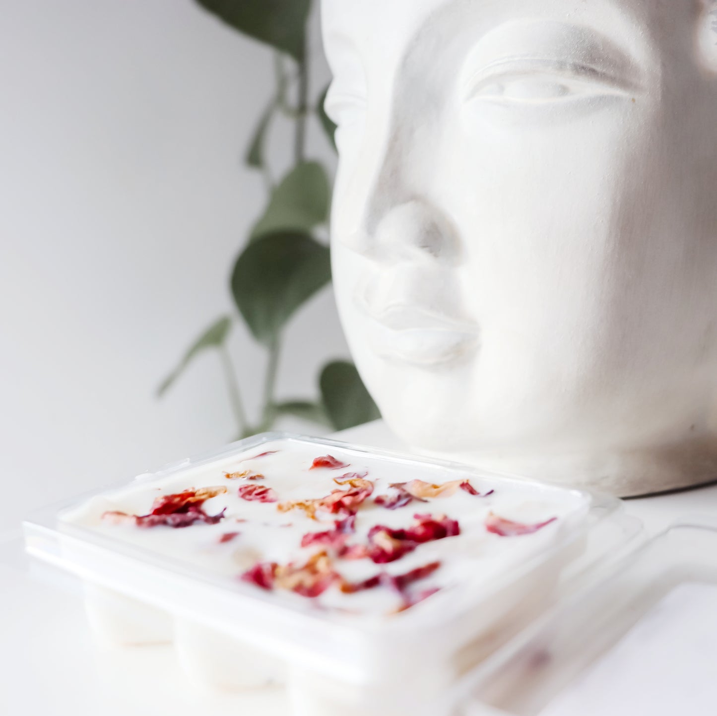 Self Love Wax Melts